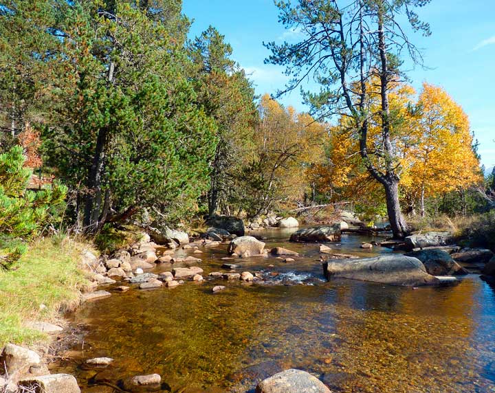 This dream can become your reality with a luxury villa rental in Cerdanya. Known for its stunning landscapes, rich history, and vibrant culture, Cerdanya